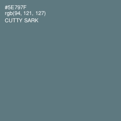 #5E797F - Cutty Sark Color Image